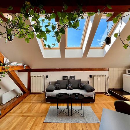 Captain Misha'S Place Belgrad Exterior foto