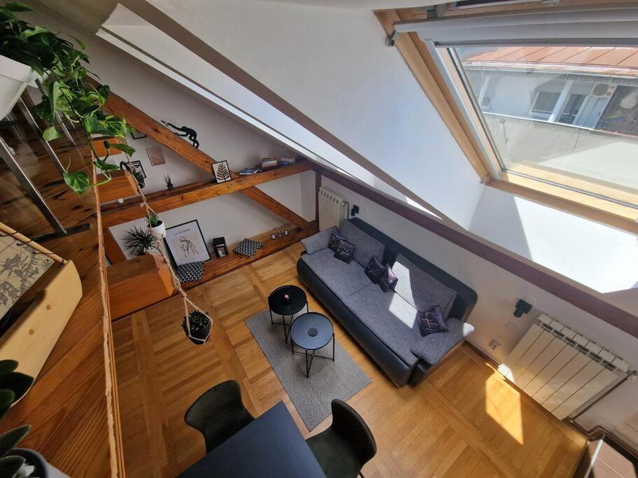 Captain Misha'S Place Belgrad Exterior foto