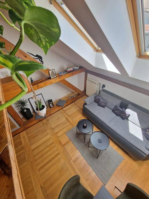 Captain Misha'S Place Belgrad Exterior foto